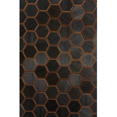 Декоративна панель Hexa S Thermo Black